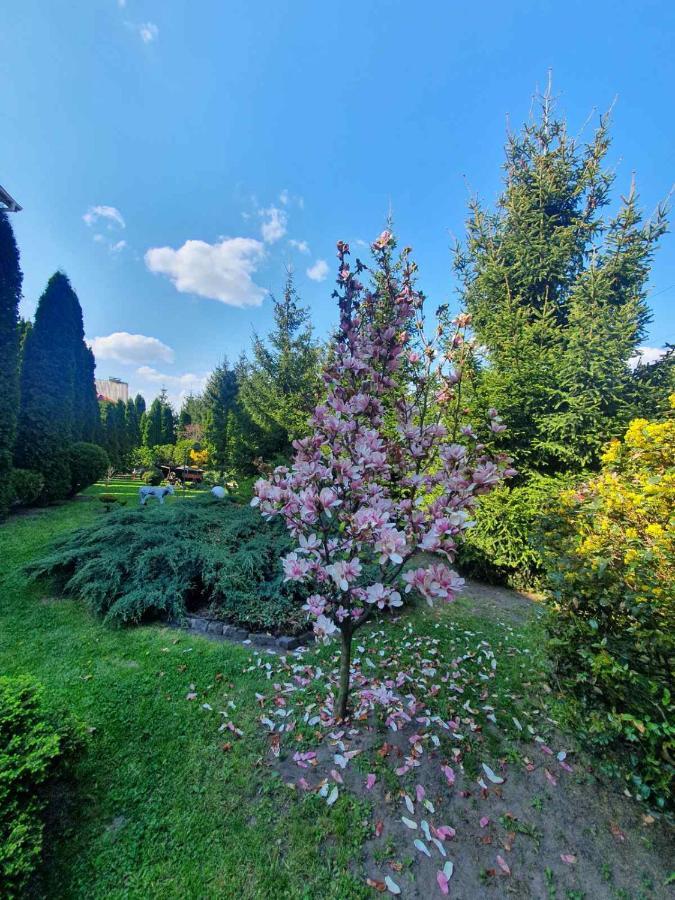 Дом Для Души С Бассейном Целиком Otel Vinnitsya Dış mekan fotoğraf